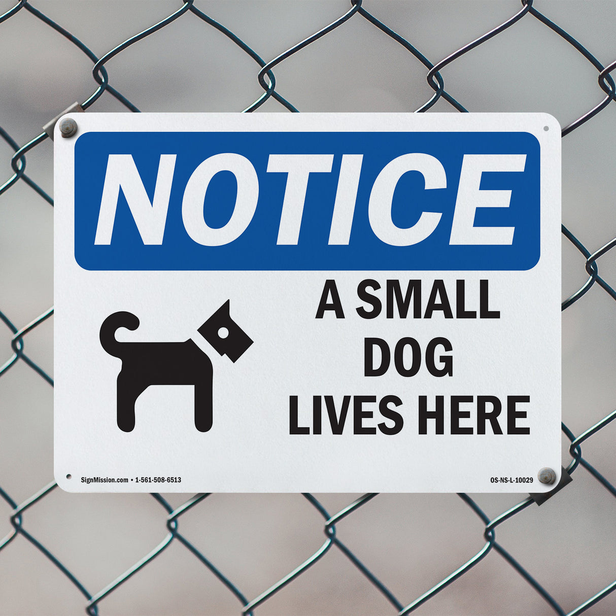 A Small Dog Lives Here