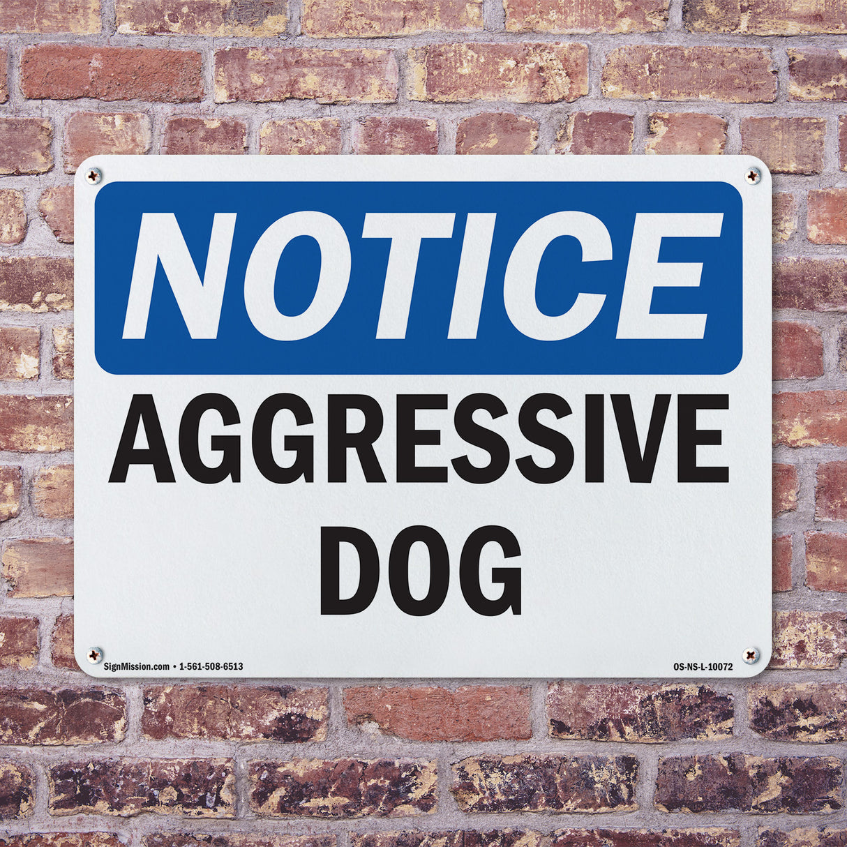 Aggressive Dog