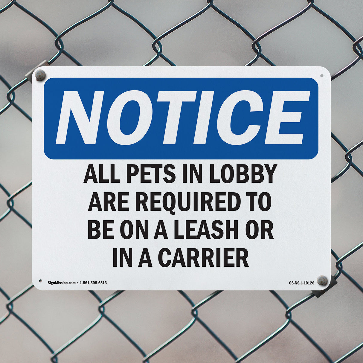 All Pets In Lobby Are Required