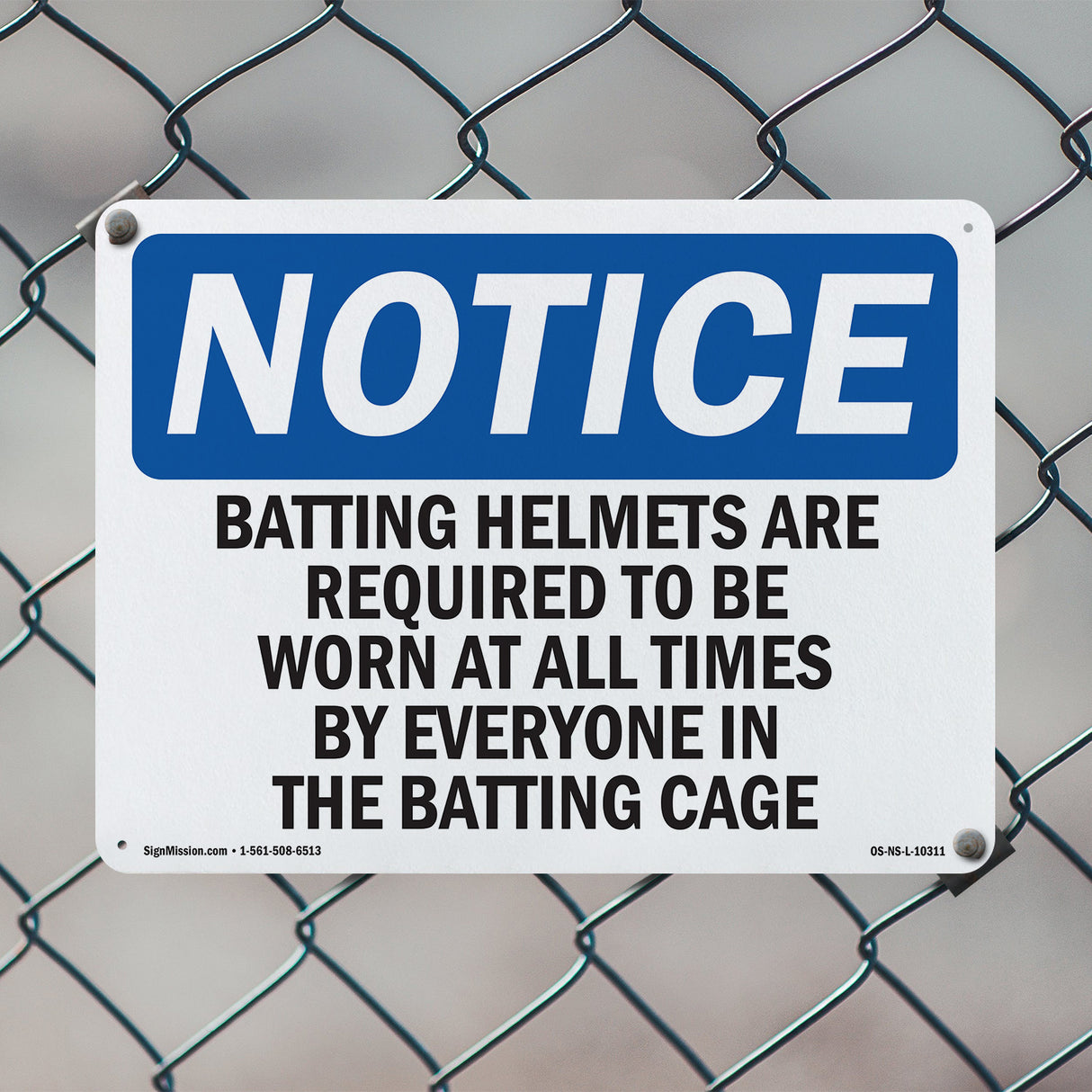 Batting Helmets Are Required To Be Worn