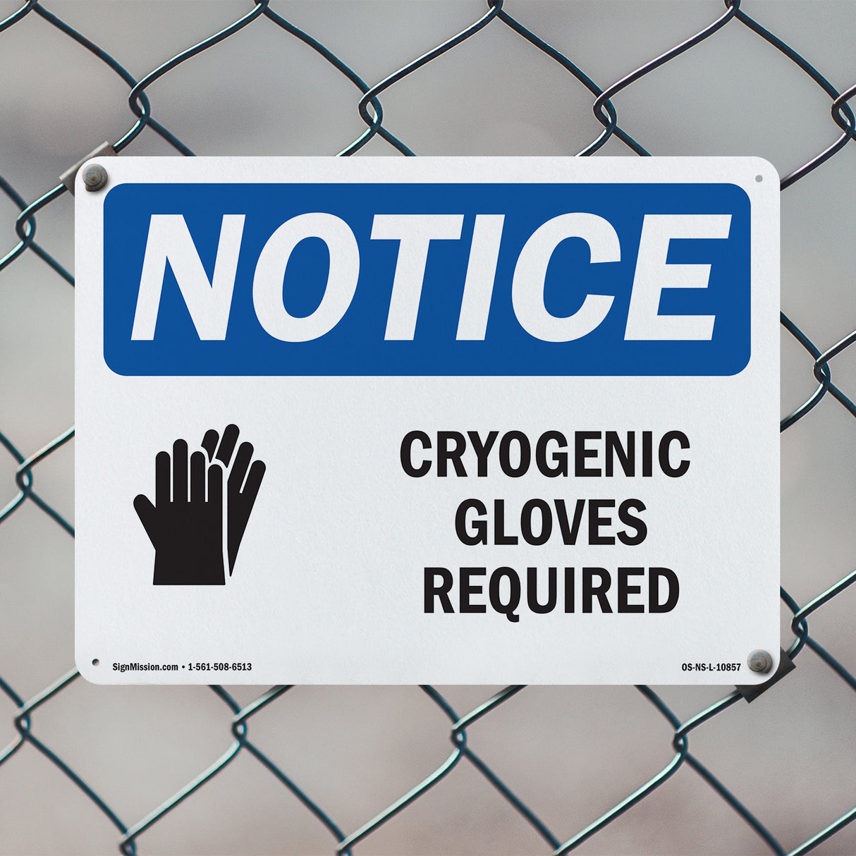 Cryogenic Gloves Required