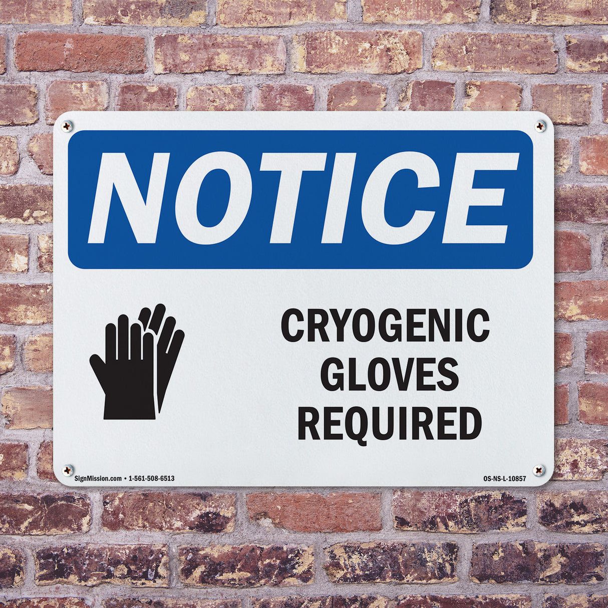 Cryogenic Gloves Required