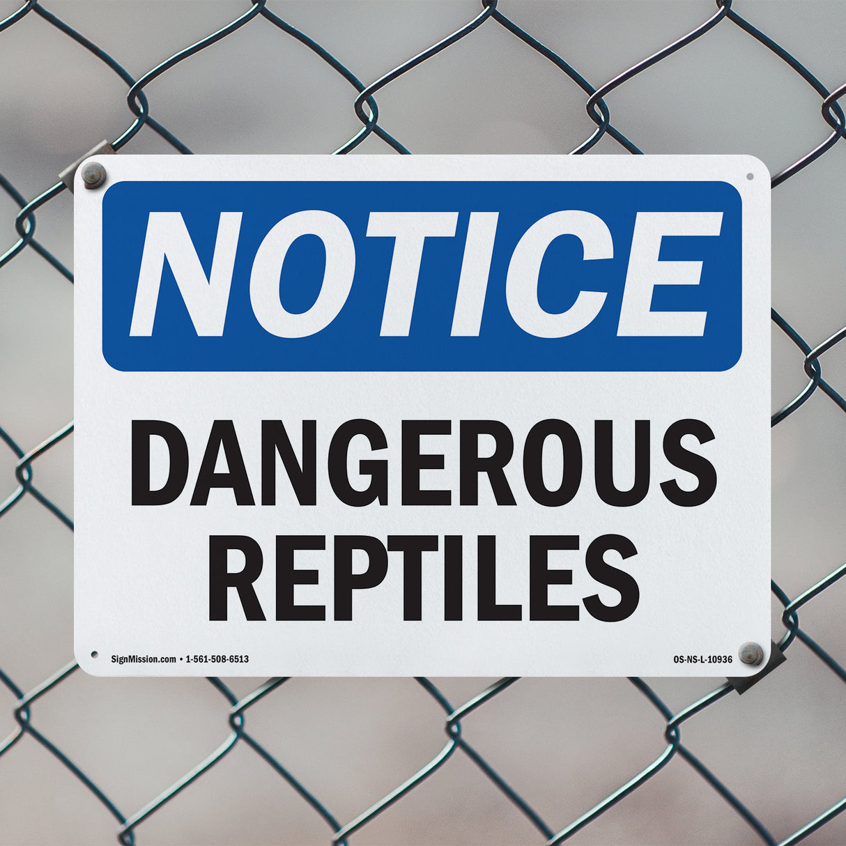 Dangerous Reptiles