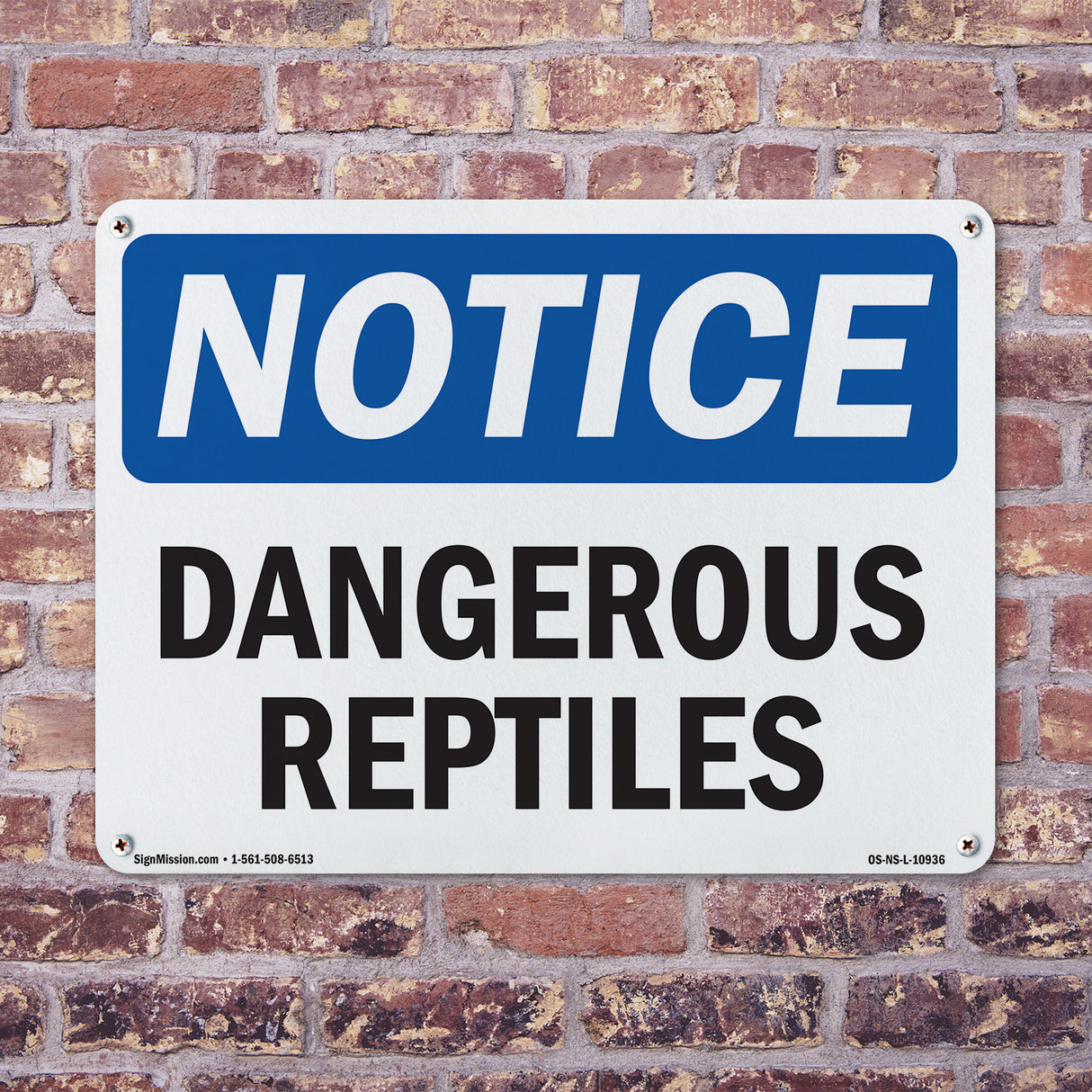 Dangerous Reptiles