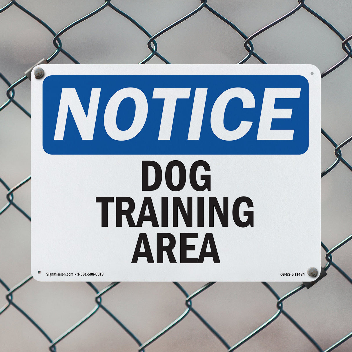 Dog Training Area