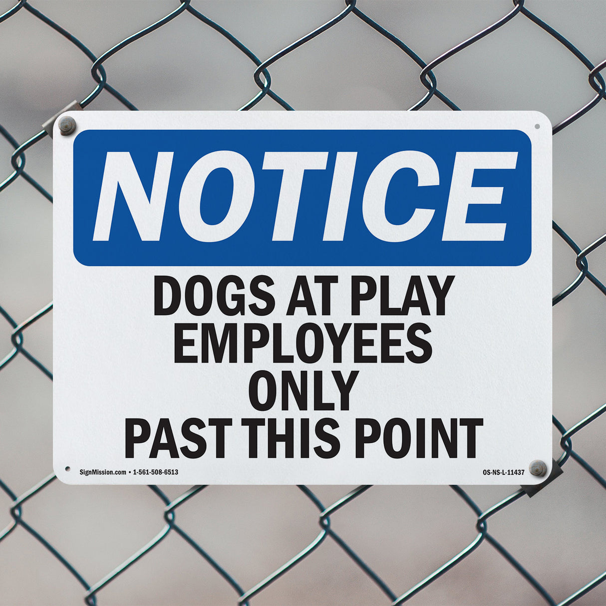 Dogs At Play Employees Only Past