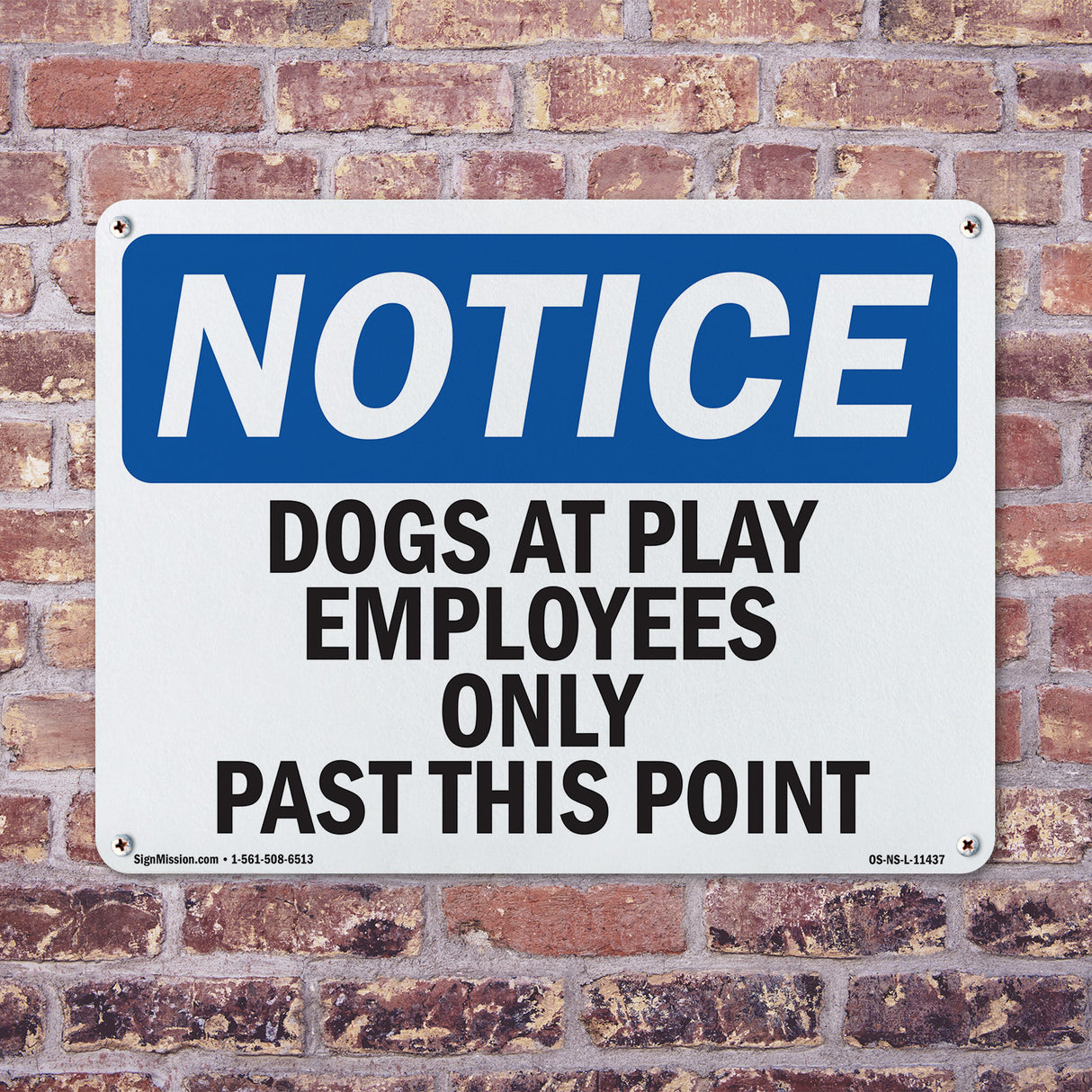 Dogs At Play Employees Only Past