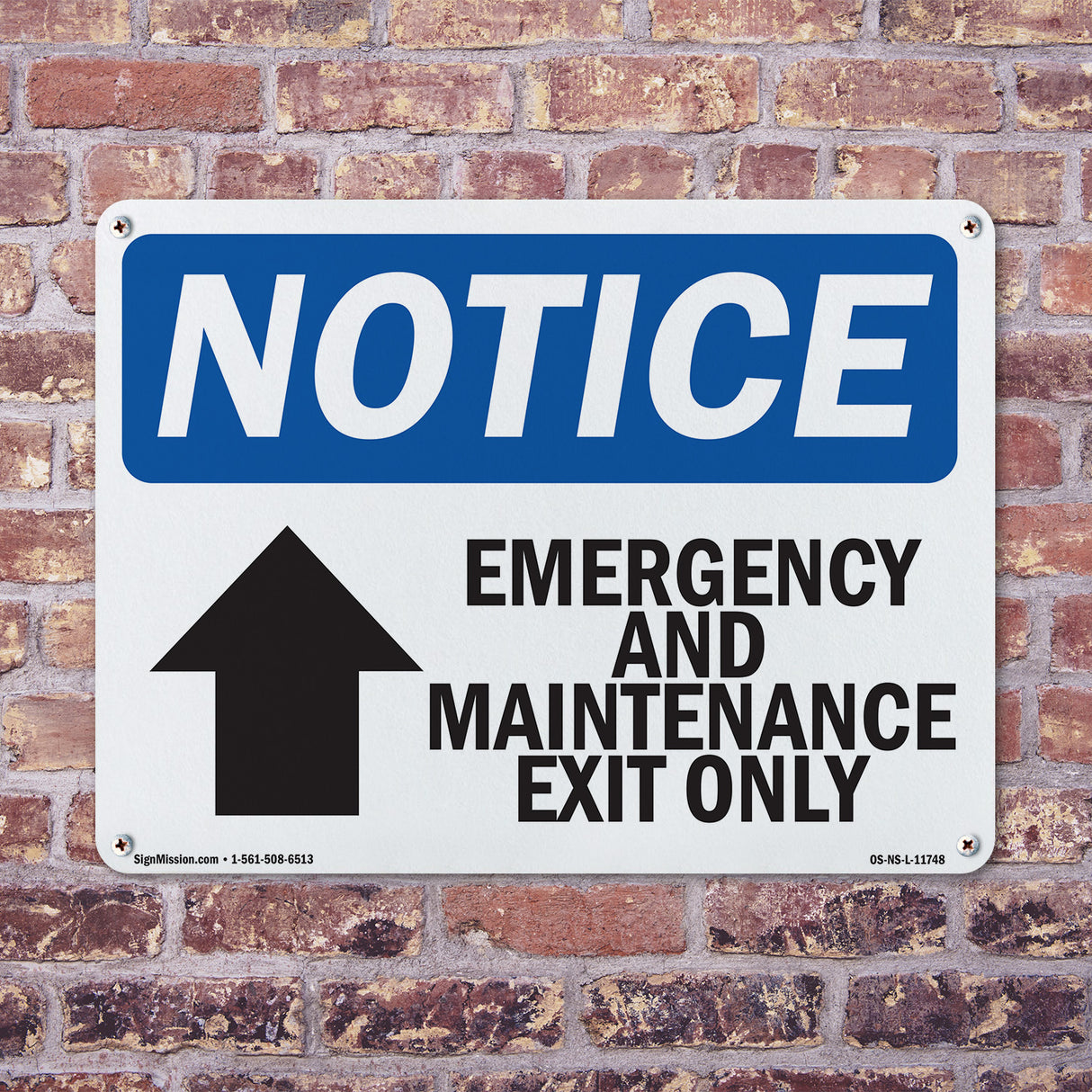 Emergency And Maintenance Exit