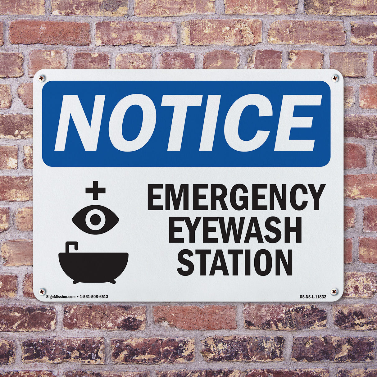 Emergency Eyewash Station