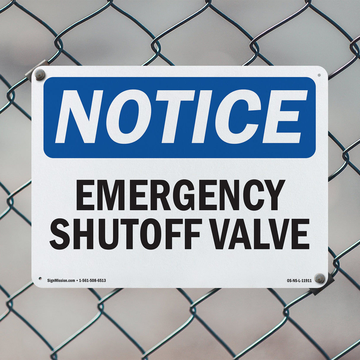 Emergency Shutoff Valve