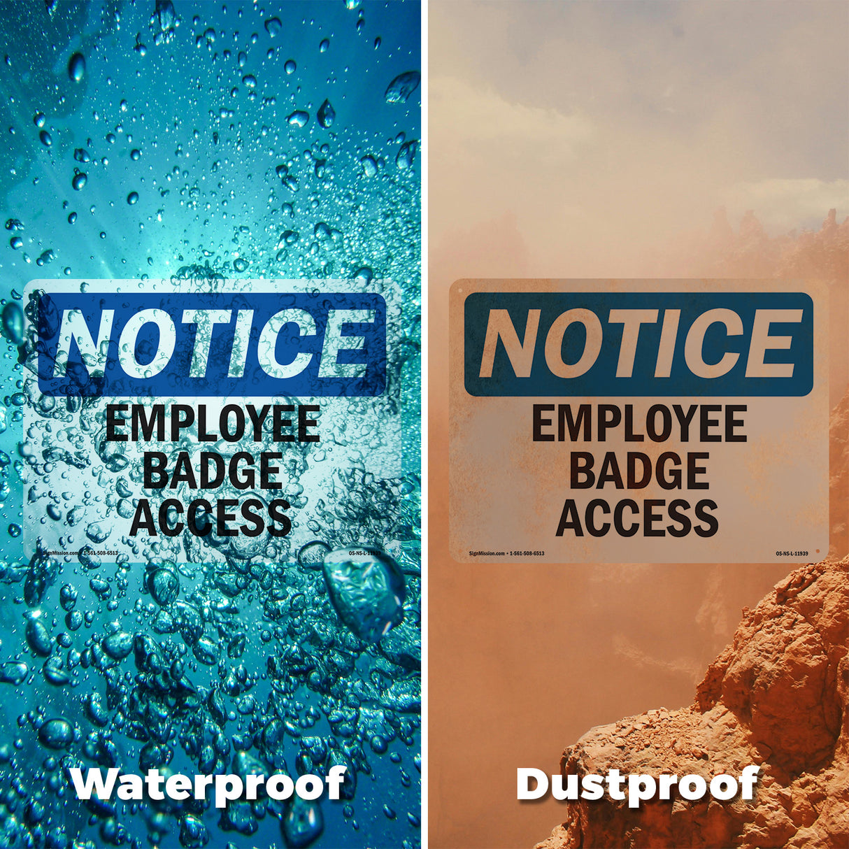Employee Badge Access