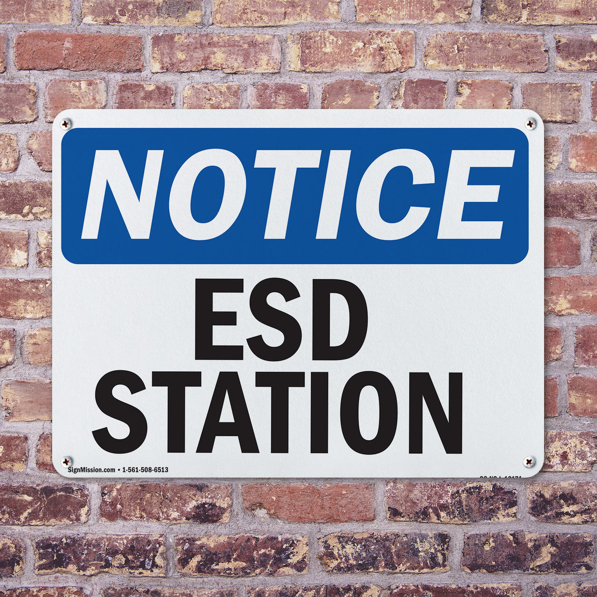 ESD Station