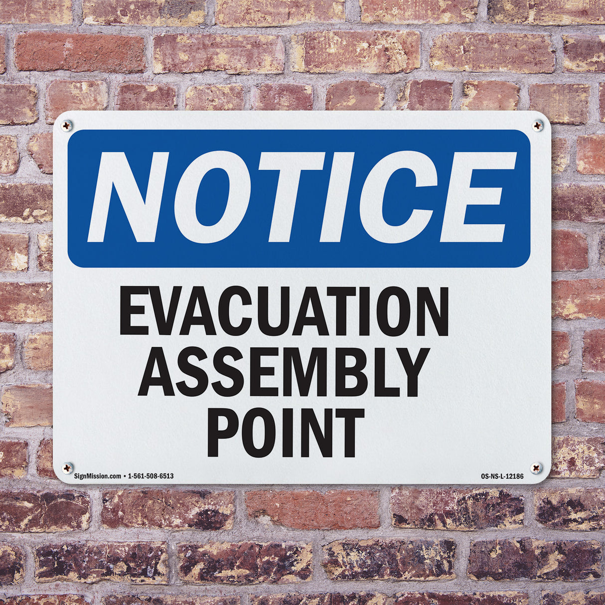 Evacuation Assembly Point