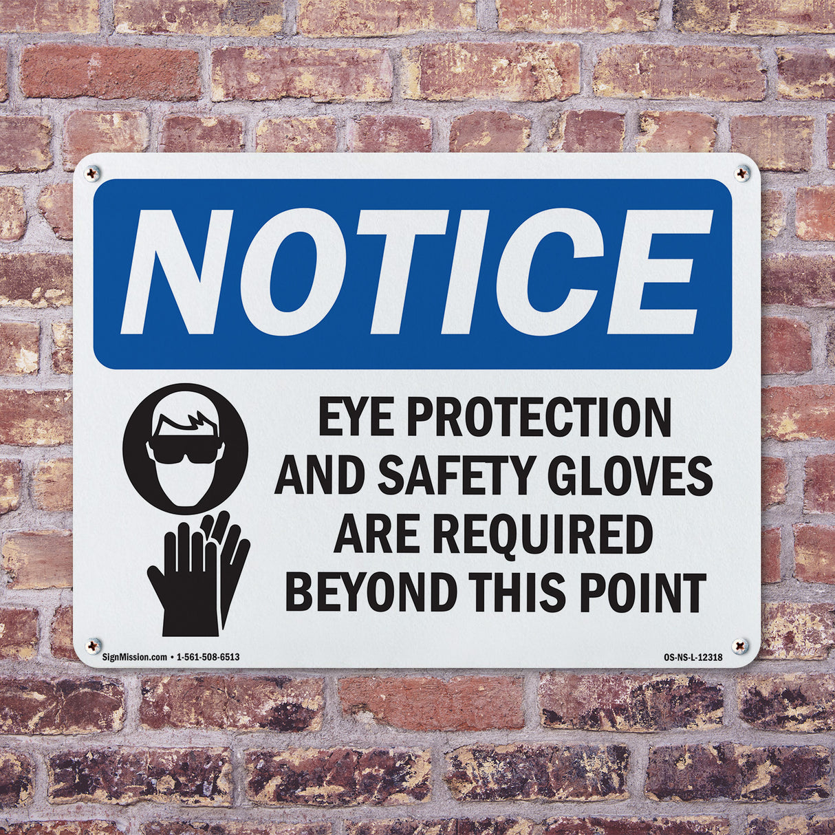 Eye Protection And Safety Gloves