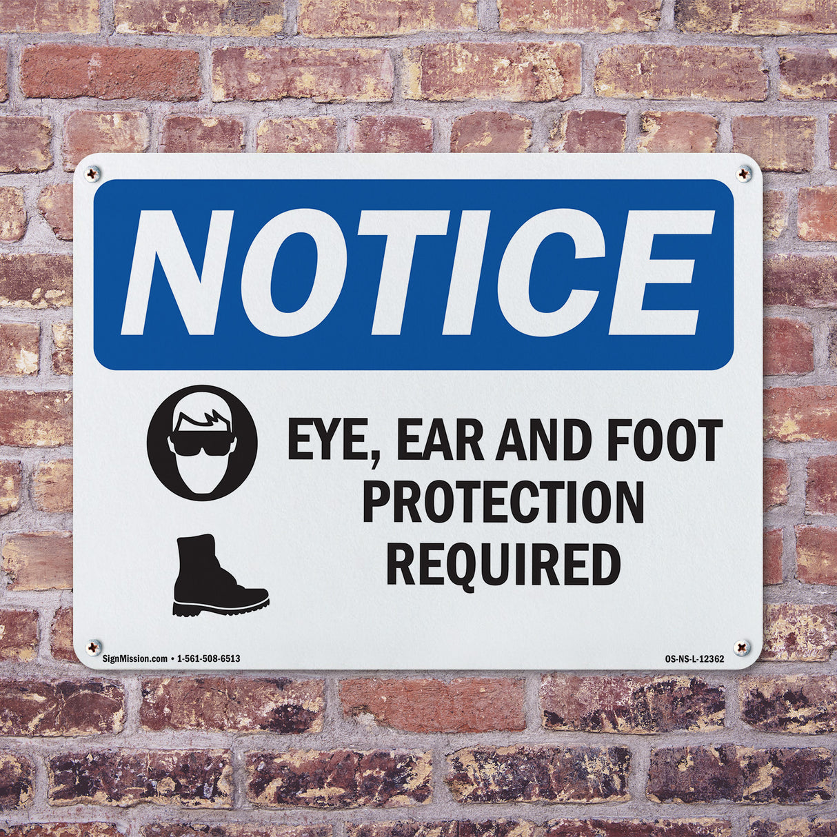Eye, Ear & Foot Protection Required