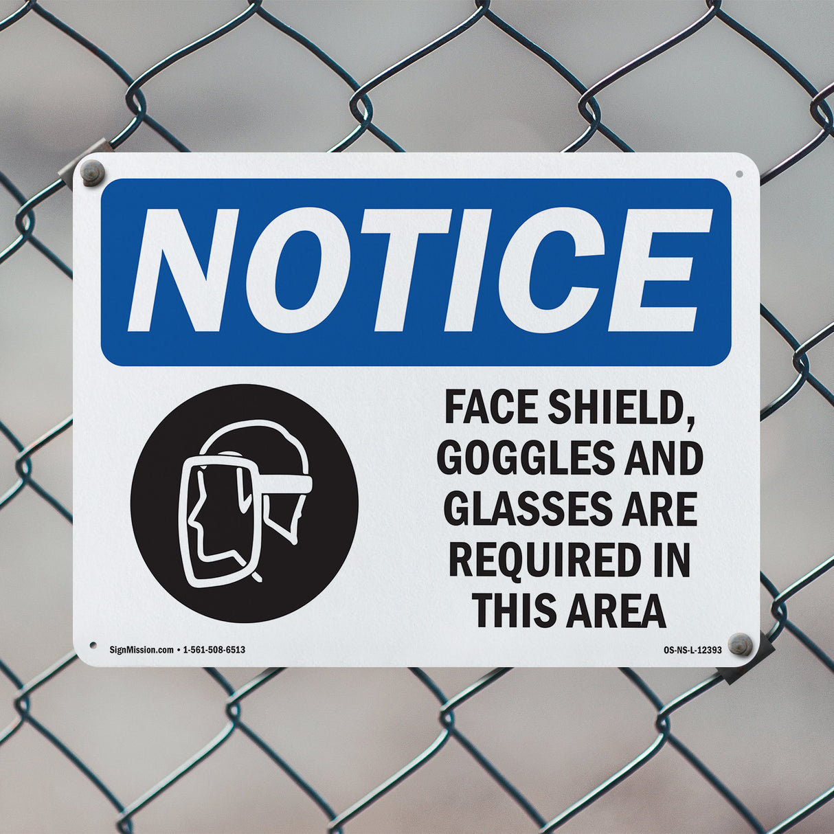 Face Shields, Goggles And Glasses