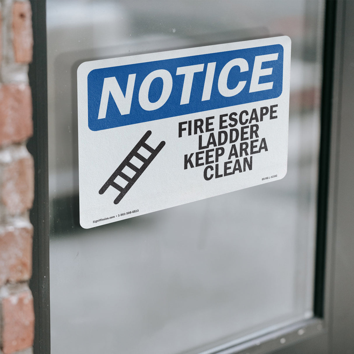 Fire Escape Ladder