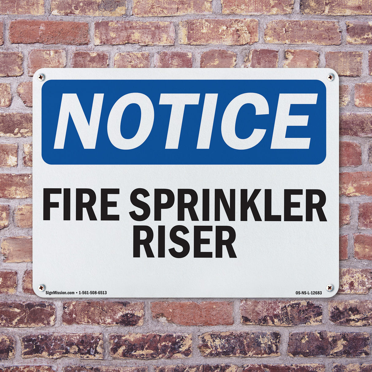 Fire Sprinkler Riser