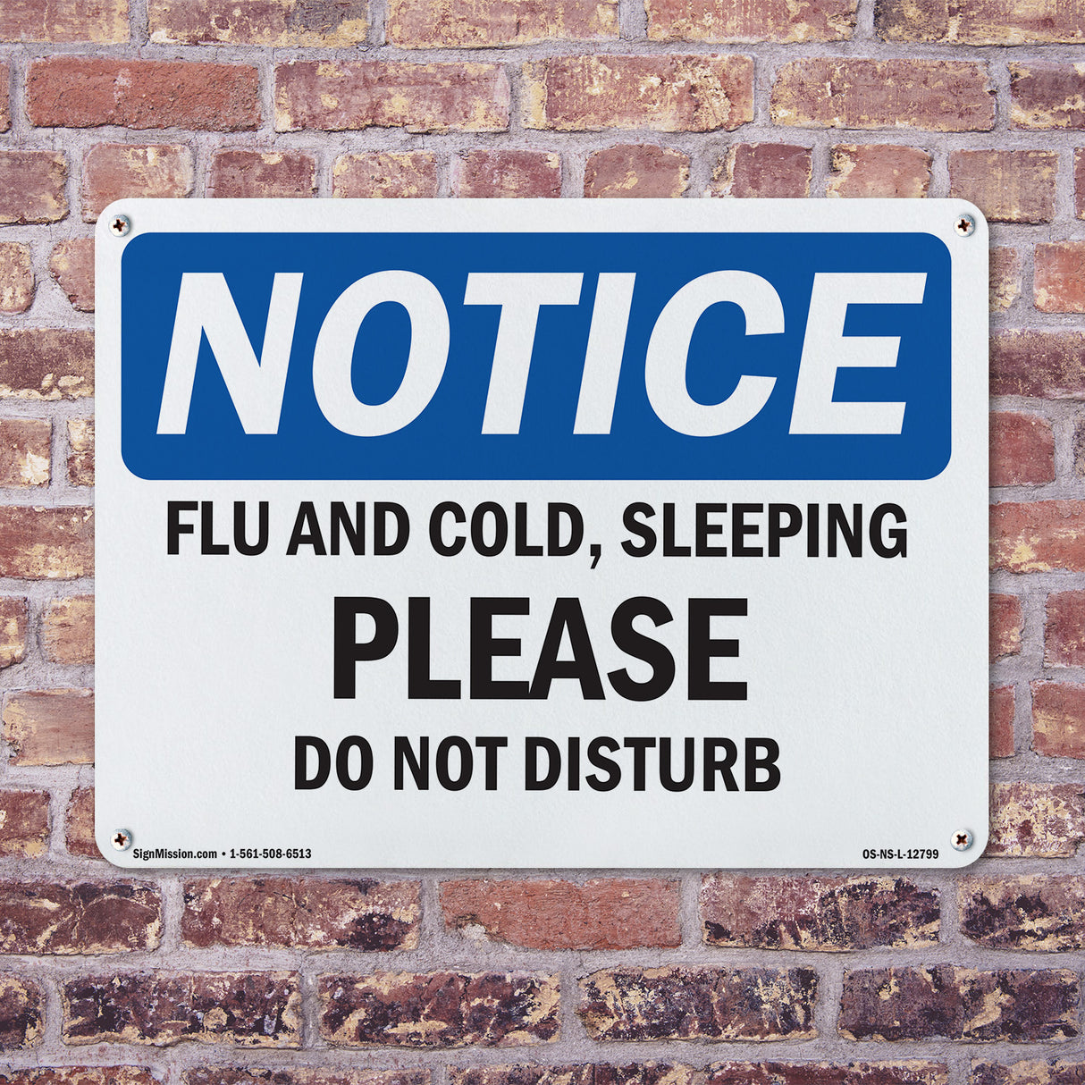 Flu And Cold, Sleeping Please Do Not Disturb Sign