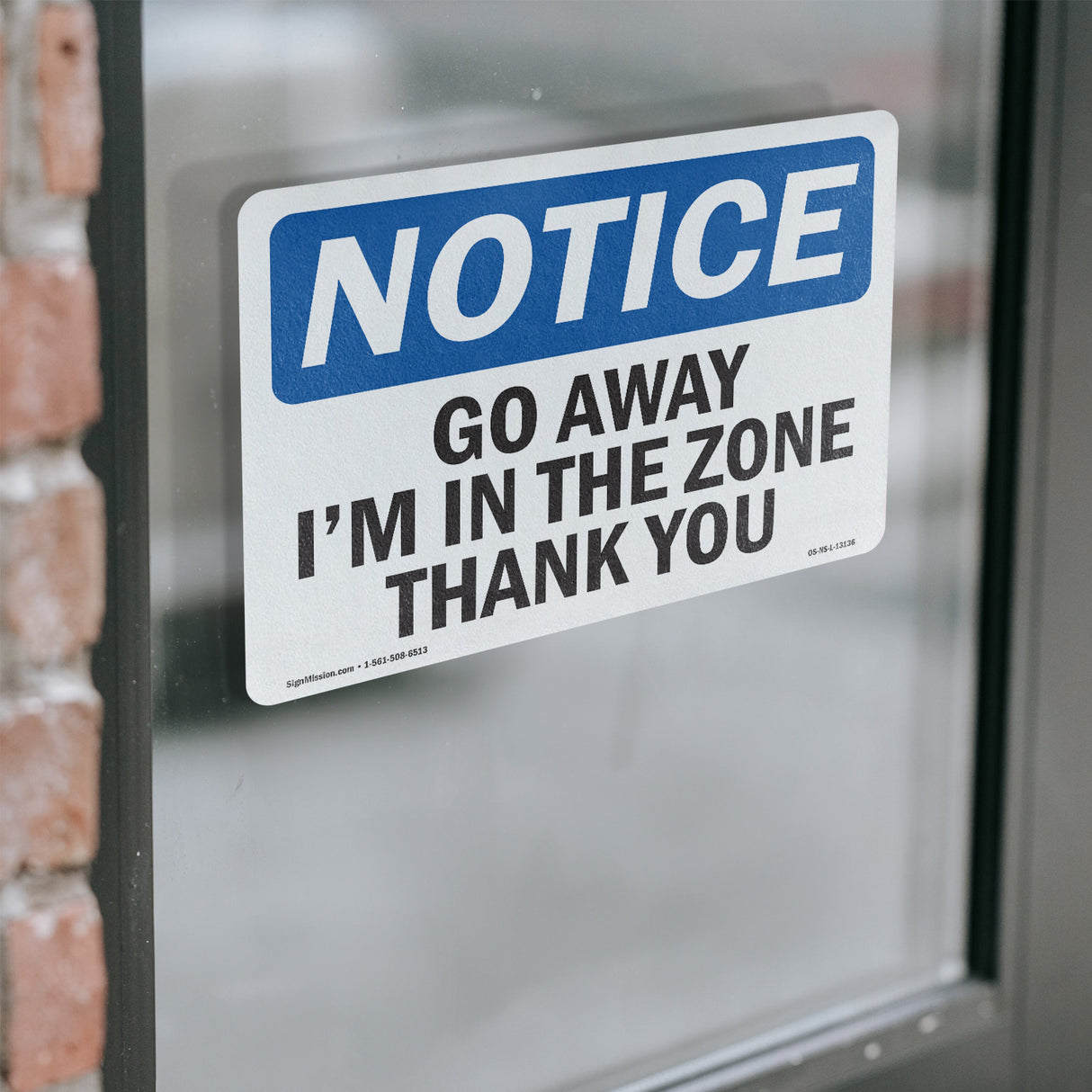 Go Away I'm In The Zone Thank You