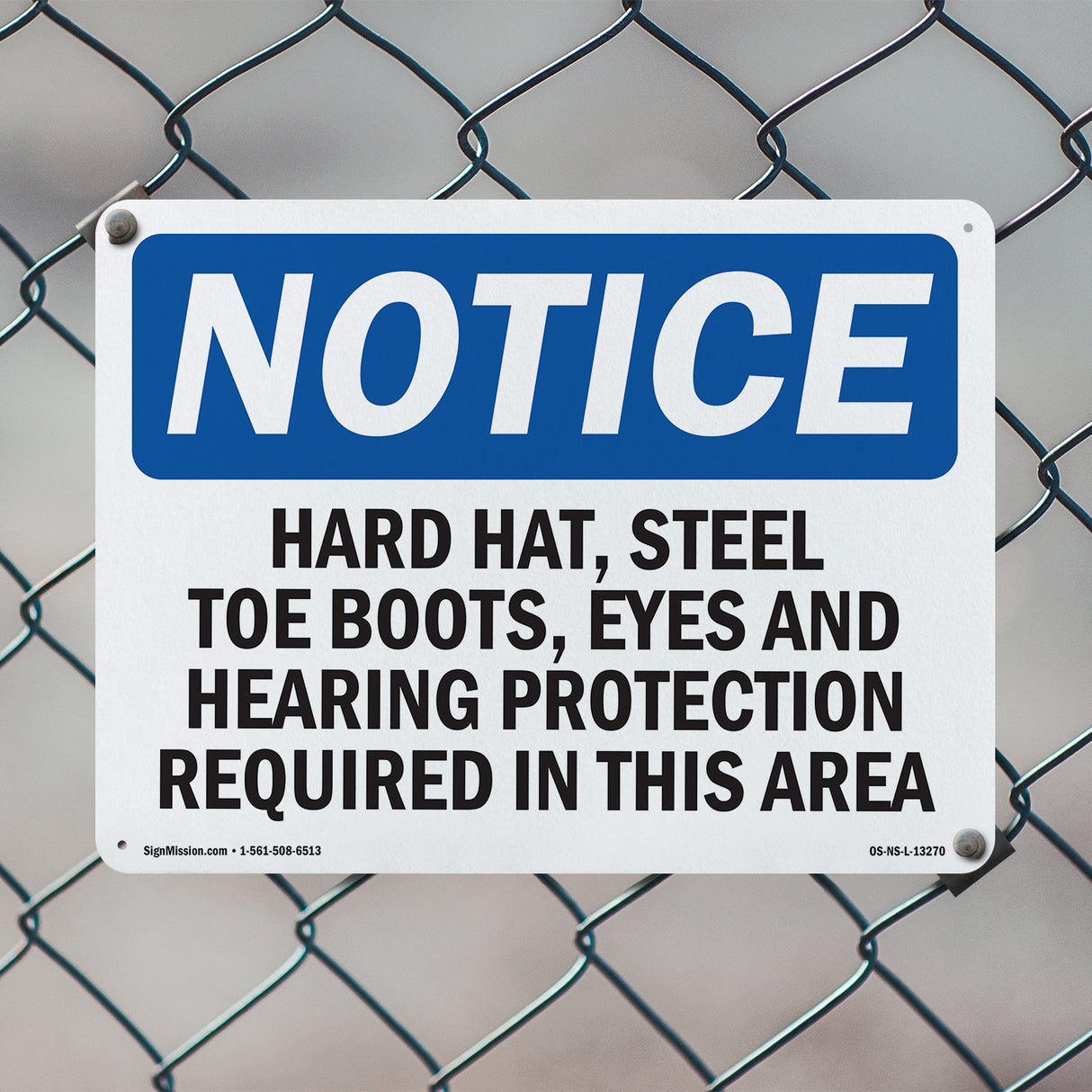 Hard Hat, Steel Toe Boots, Eye And Hearing