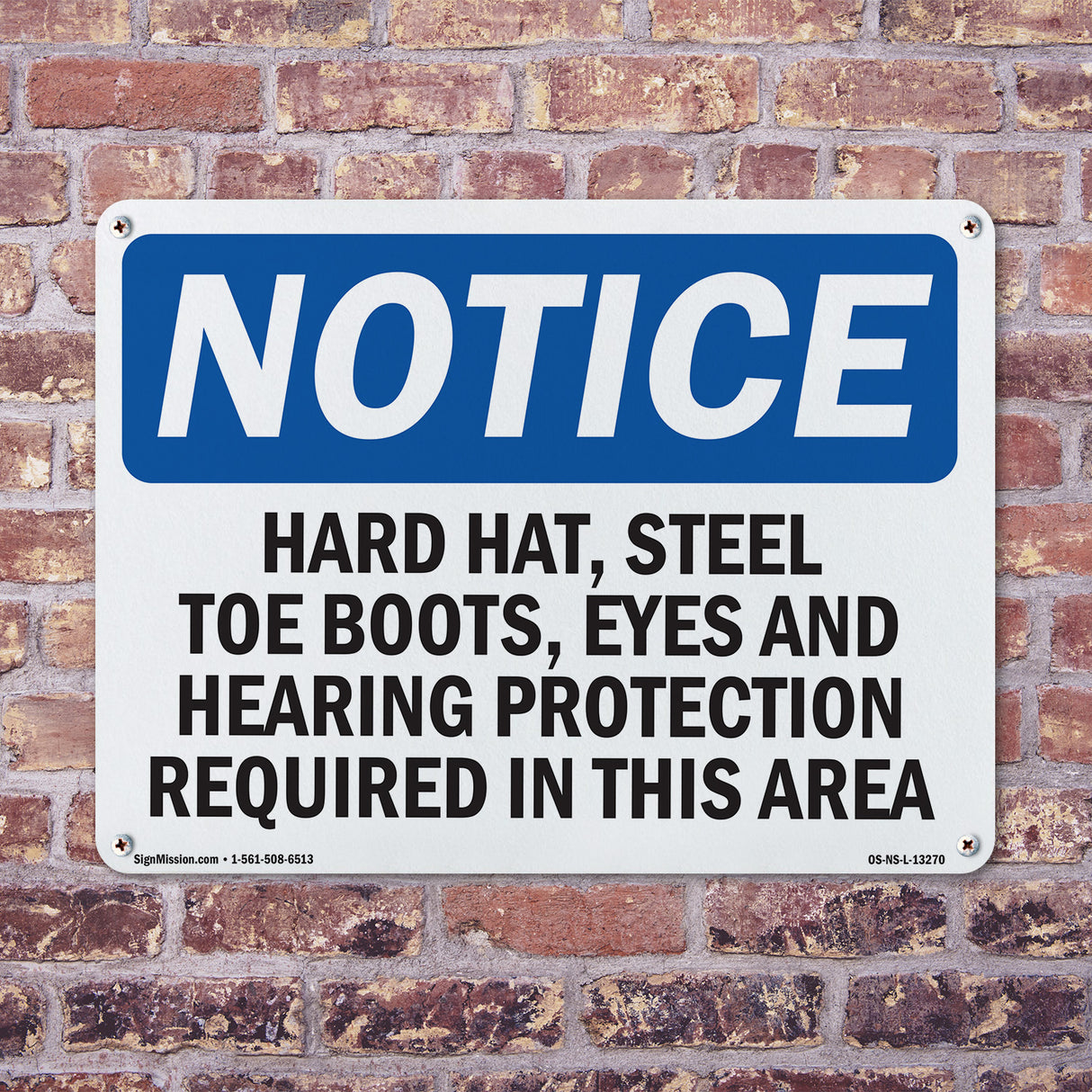 Hard Hat, Steel Toe Boots, Eye And Hearing