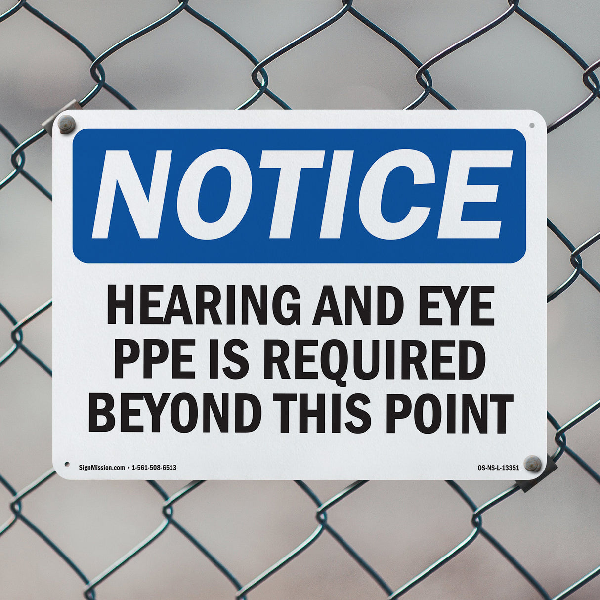 Hearing & Eye PPE Is Required Beyond This Point