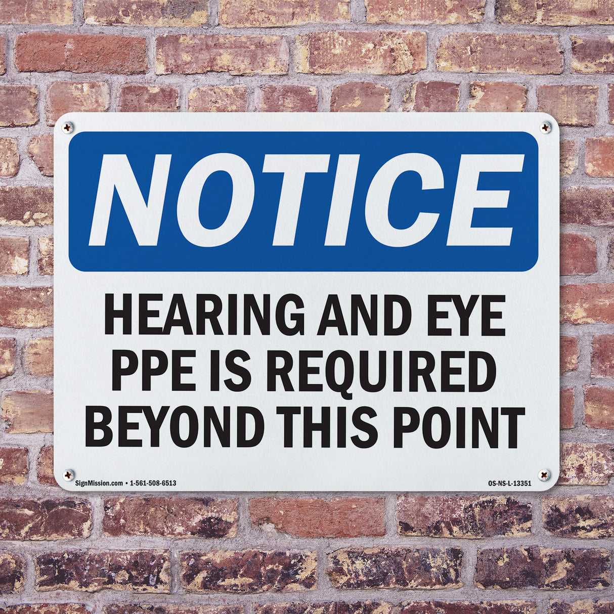 Hearing & Eye PPE Is Required Beyond This Point