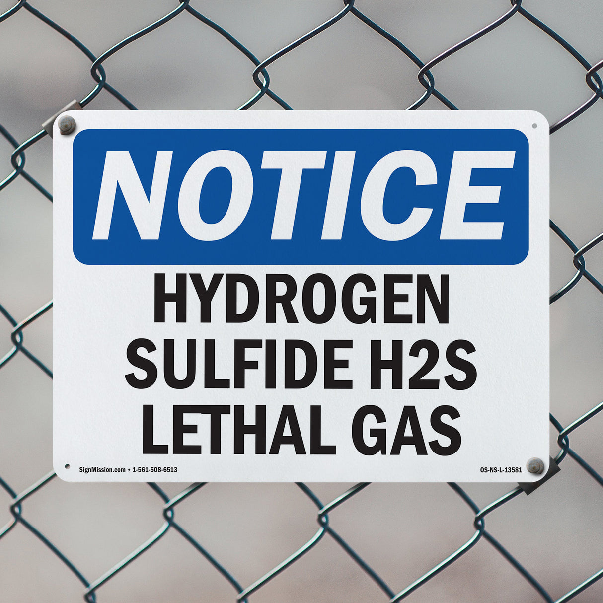 Hydrogen Sulfide H2S Lethal Gas