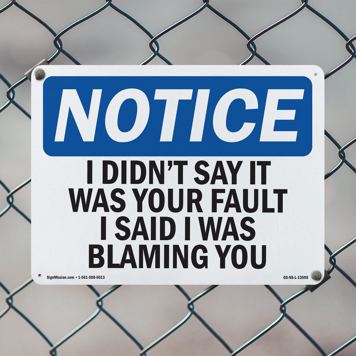 I Didn't Say It Was Your Fault I Said I