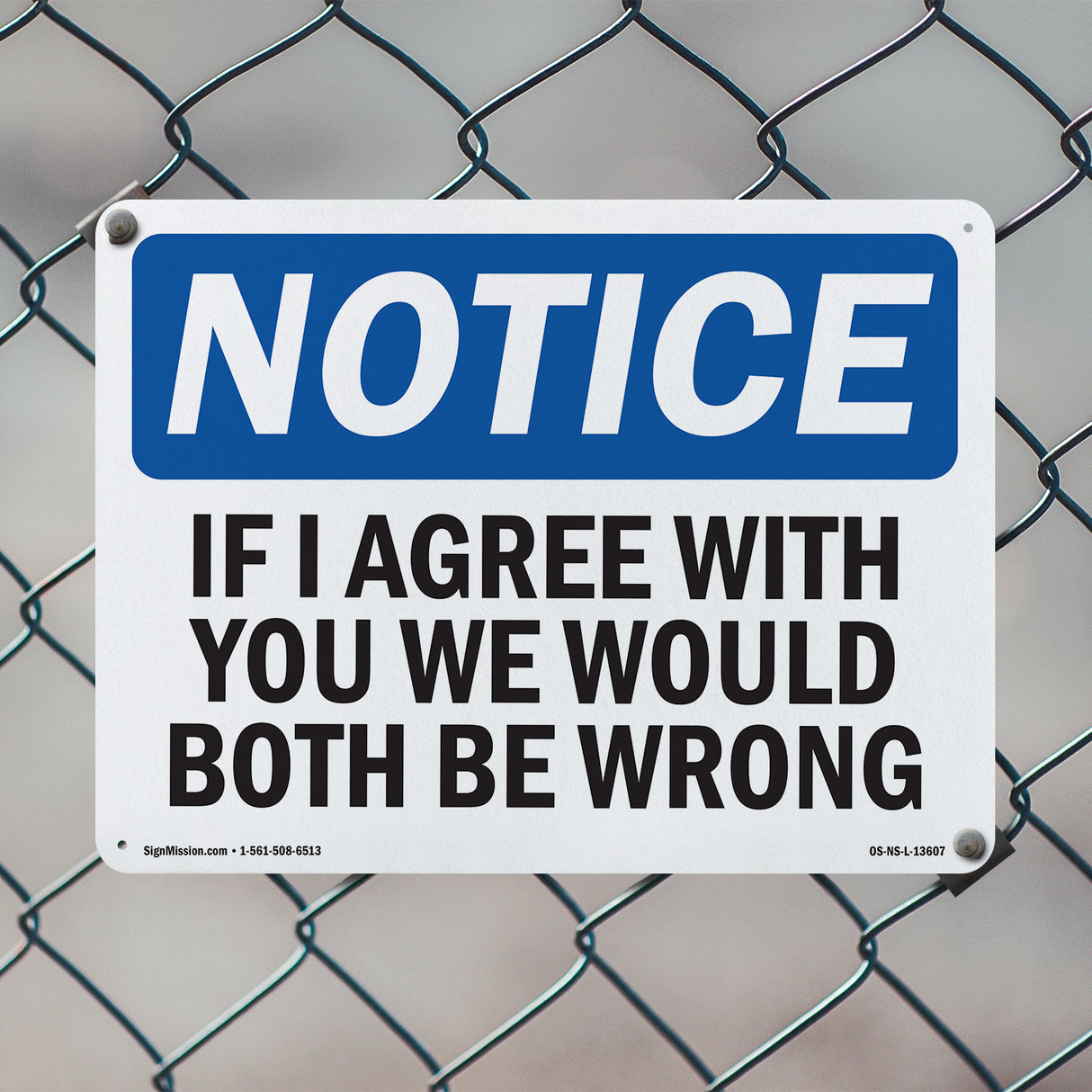 If I Agree With You We Would Both Be Wrong
