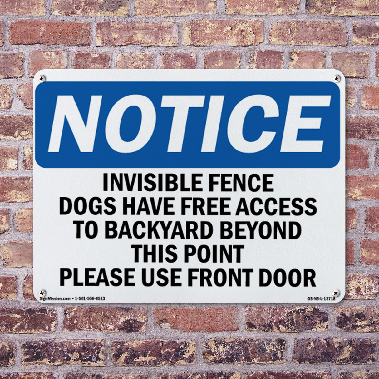 Invisible Fence Dogs Have Free Access To