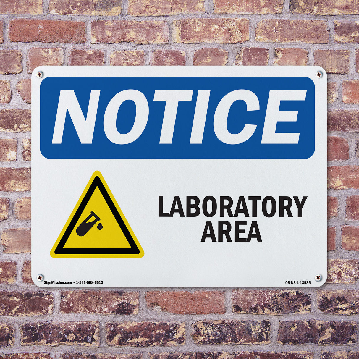 Laboratory Area