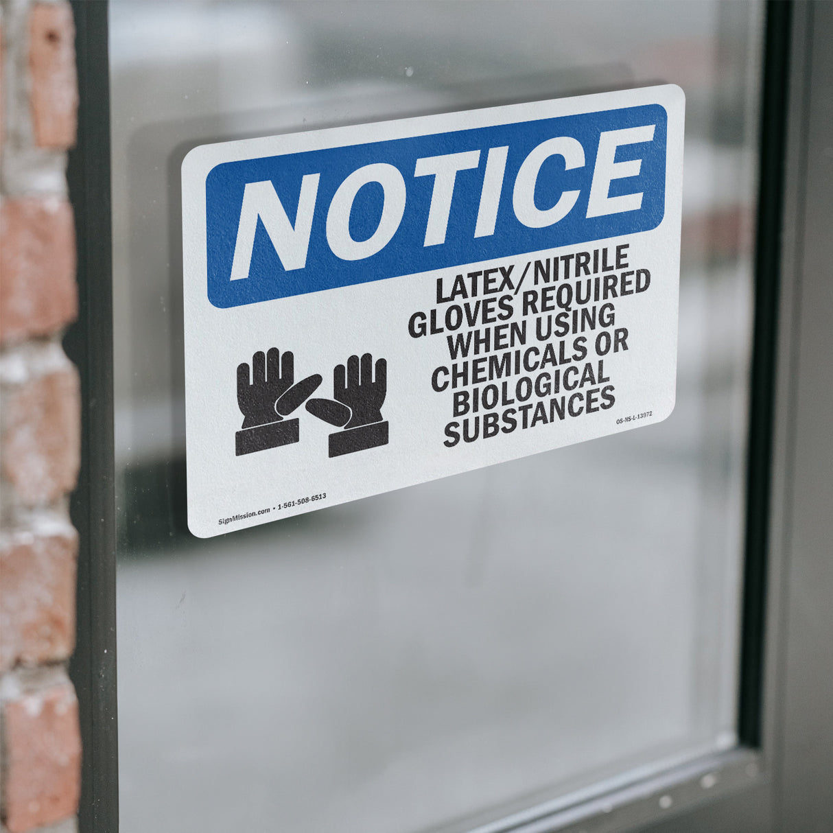 LatexNitrile Gloves