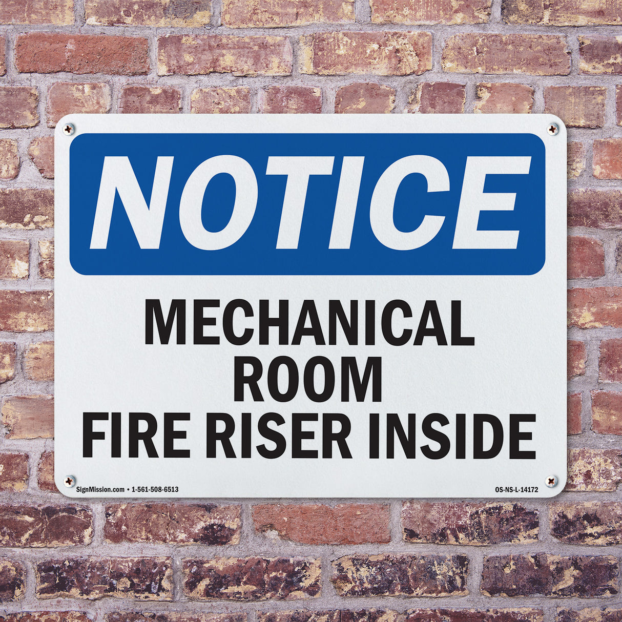 Mechanical Room Fire Riser Inside