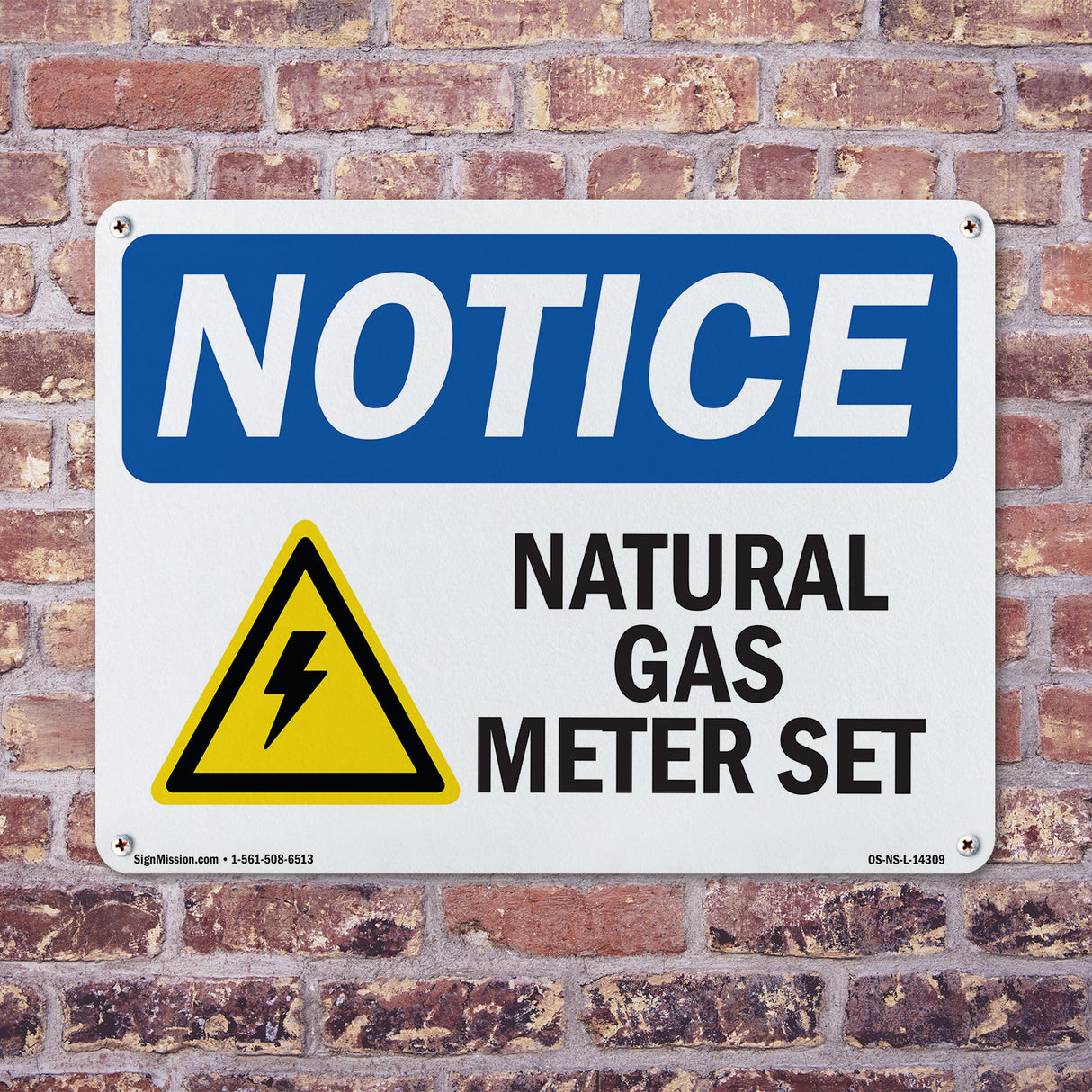 Natural Gas Meter Set