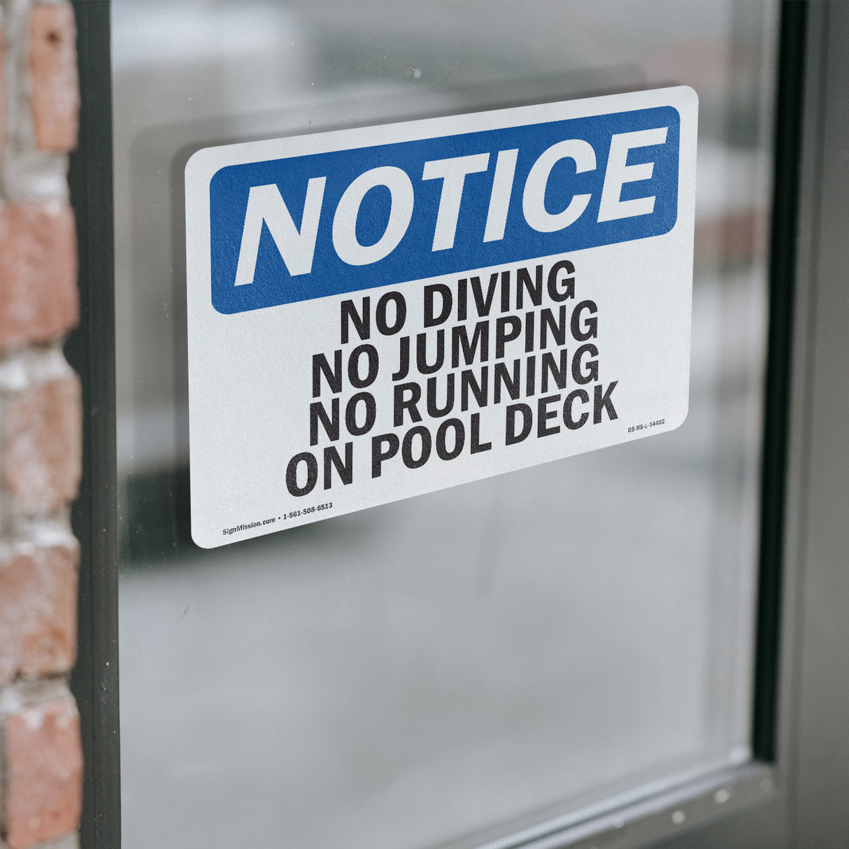 No Diving No Jumping No Running On Pool Deck