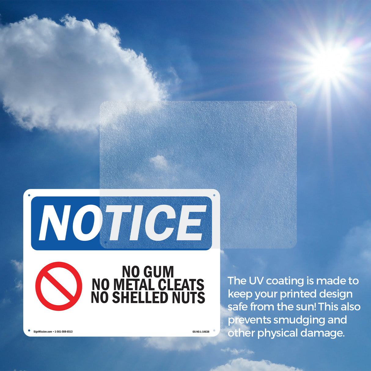 No Gum No Metal Cleats No Shelled Nuts
