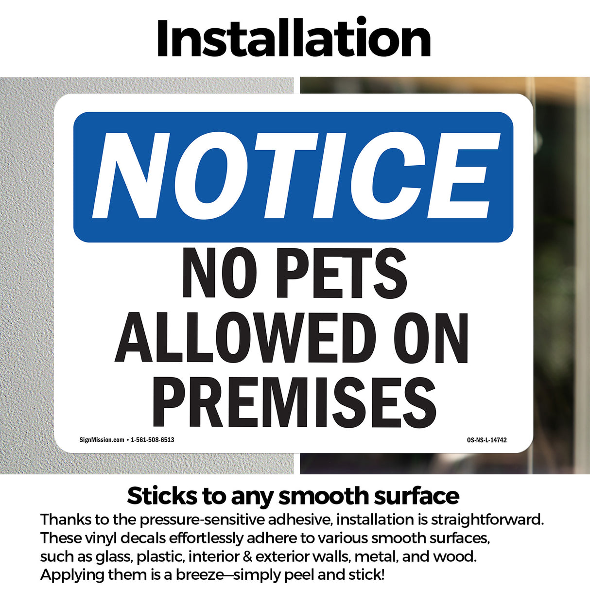 No Pets Allowed On Premises