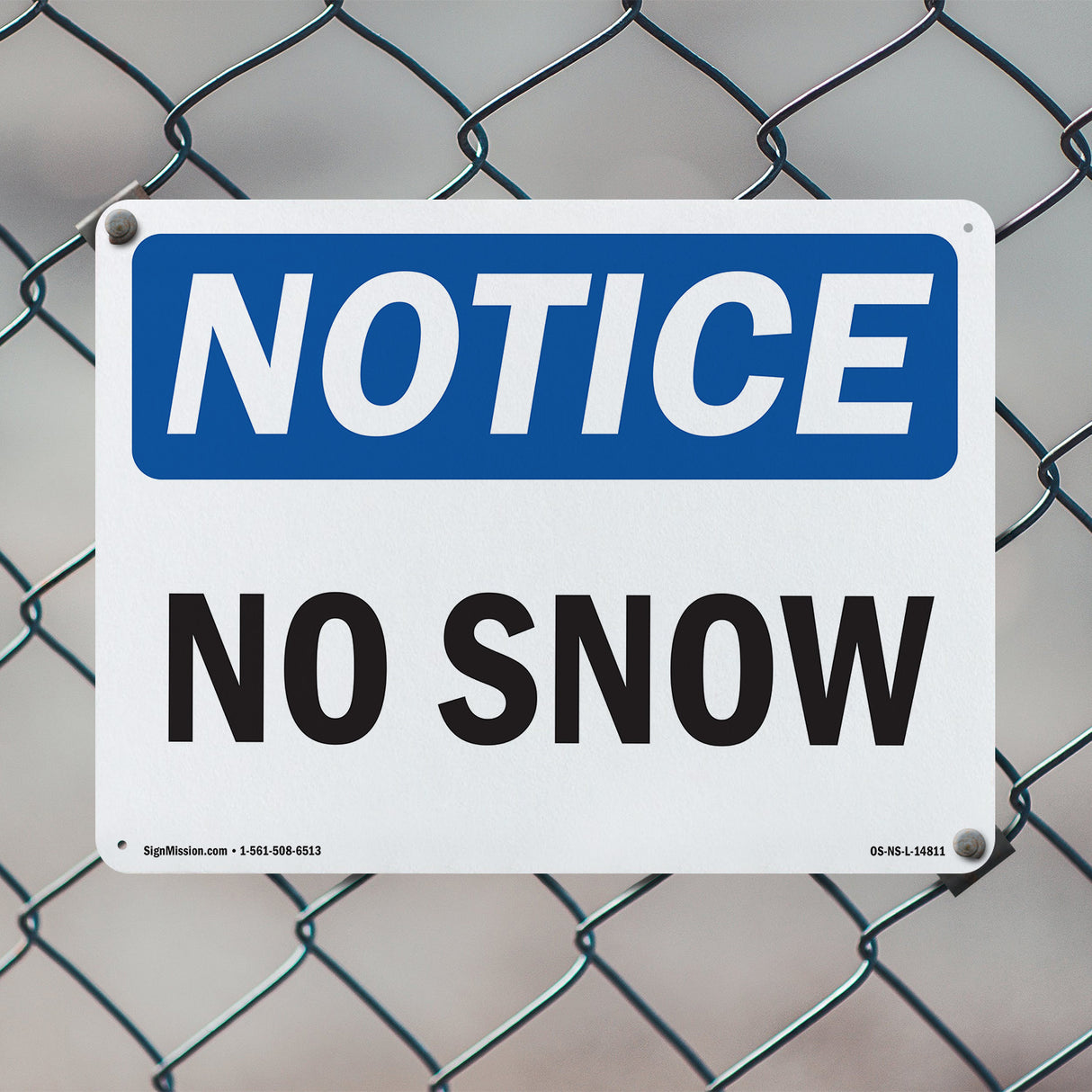 No Snow