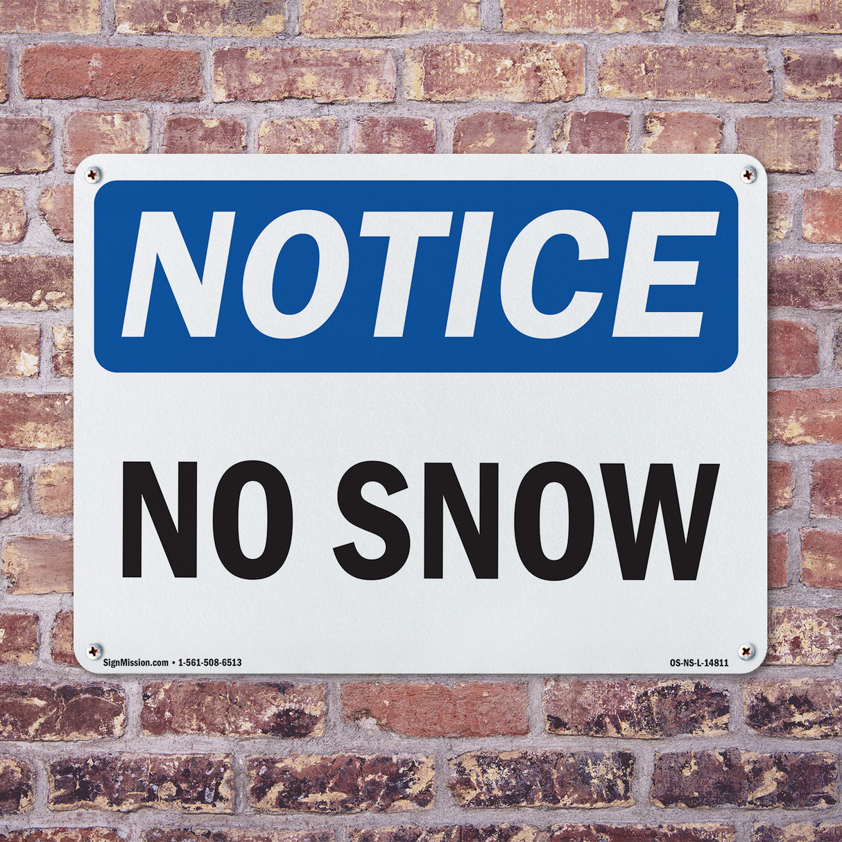 No Snow