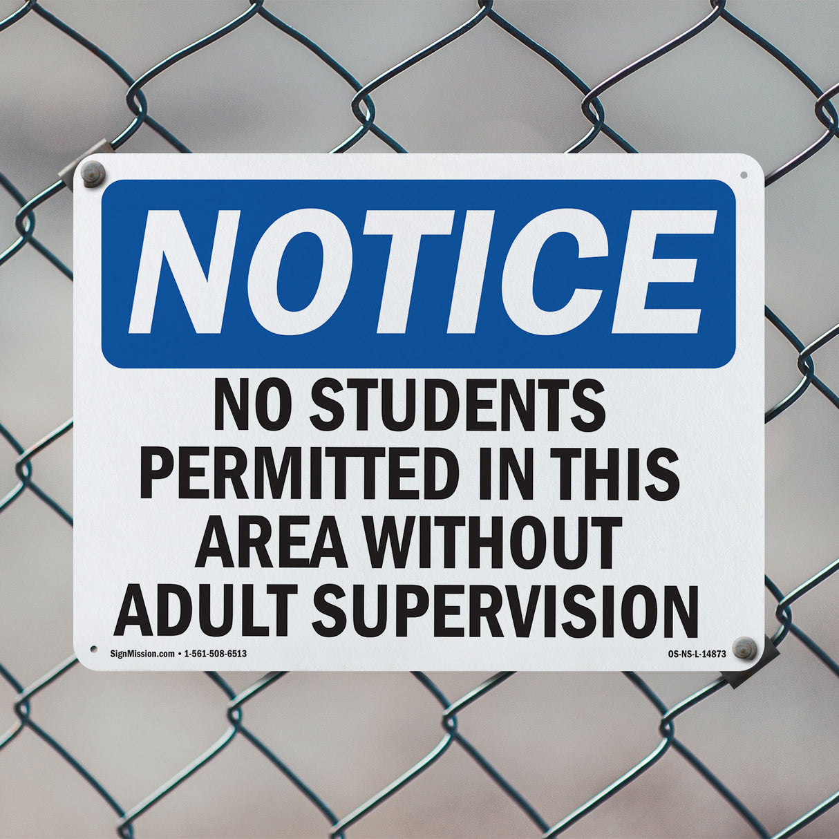 No Students Permitted In This Area Without