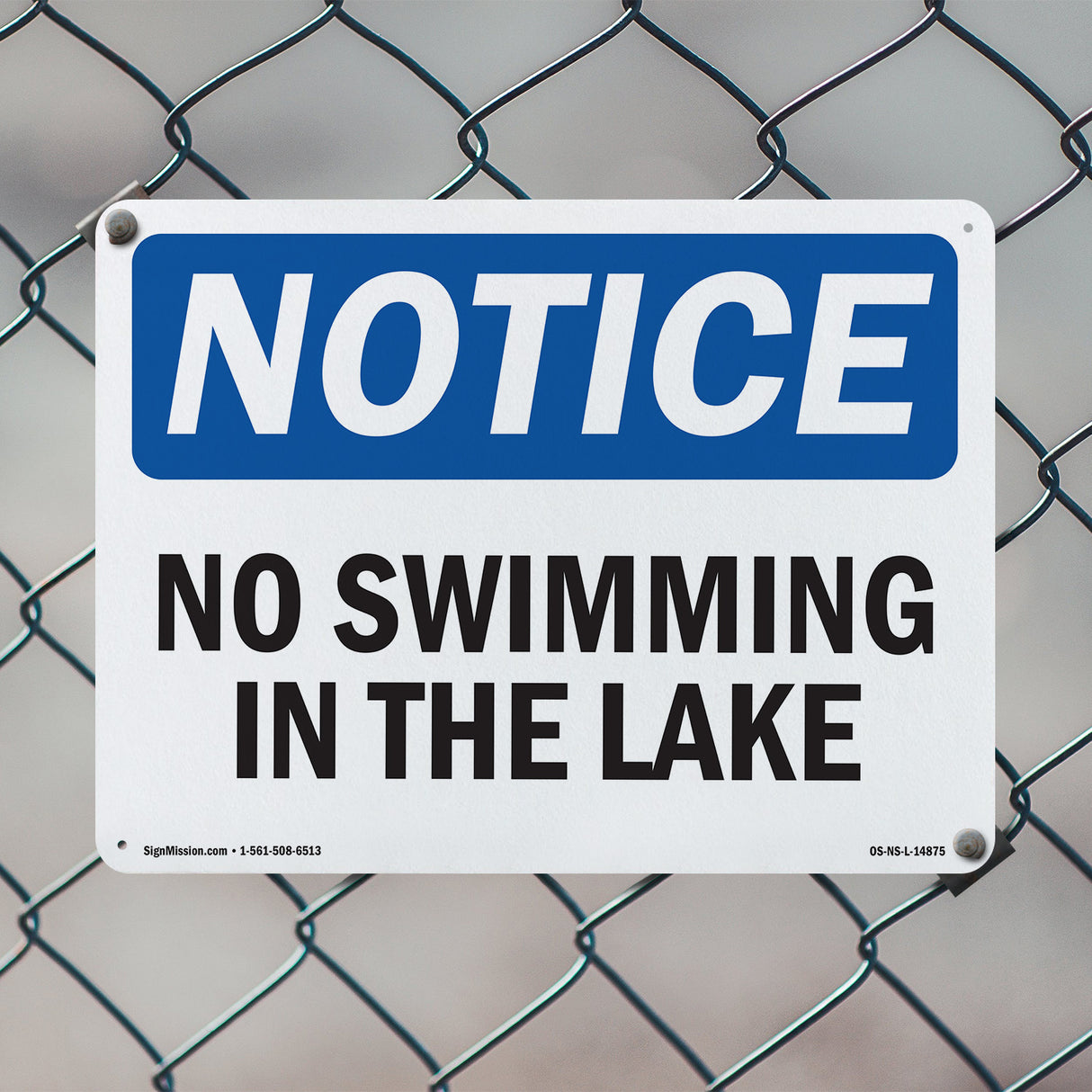 No Swimming In The Lake