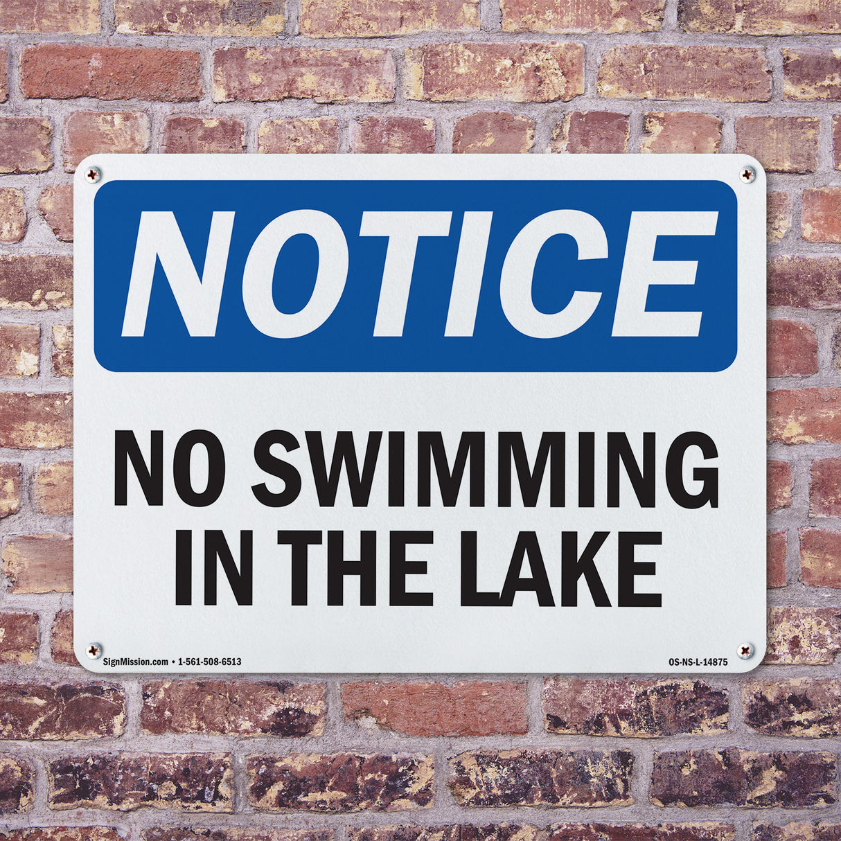 No Swimming In The Lake