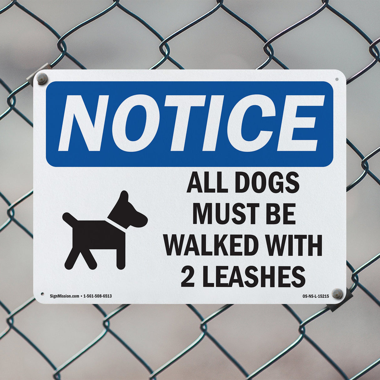 All Dogs Must Be Walked