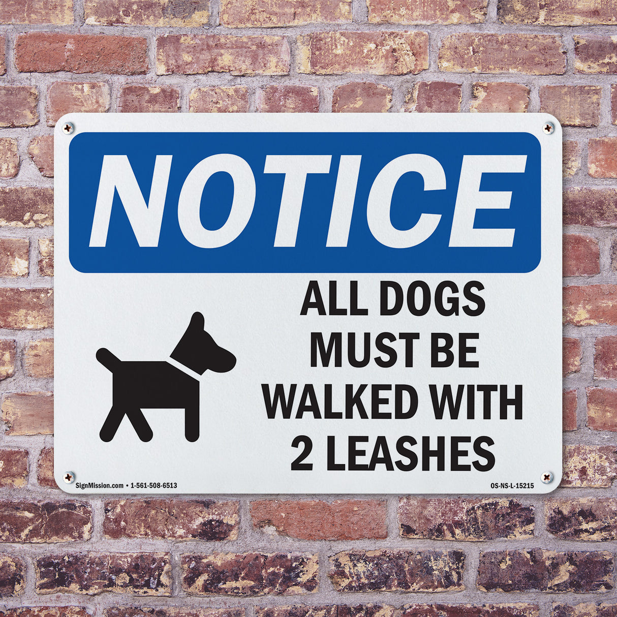 All Dogs Must Be Walked