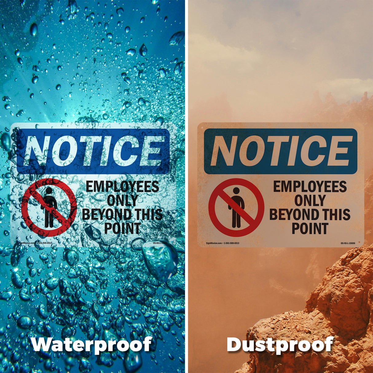 Employees Only Beyond