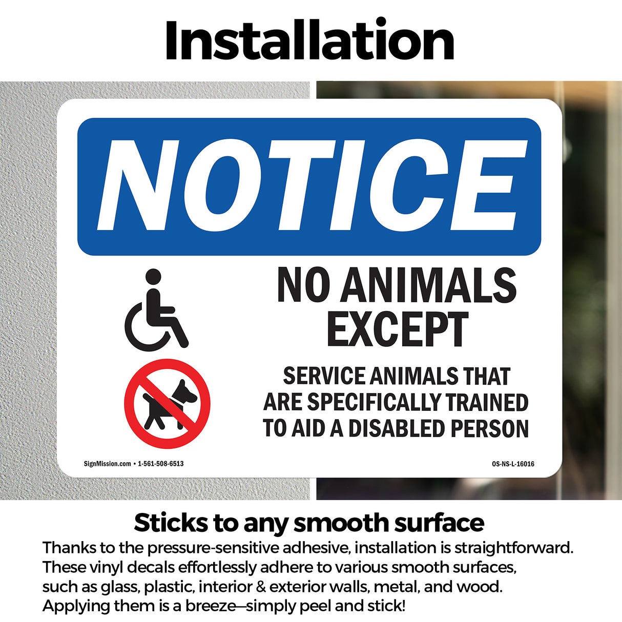 No Animals Except