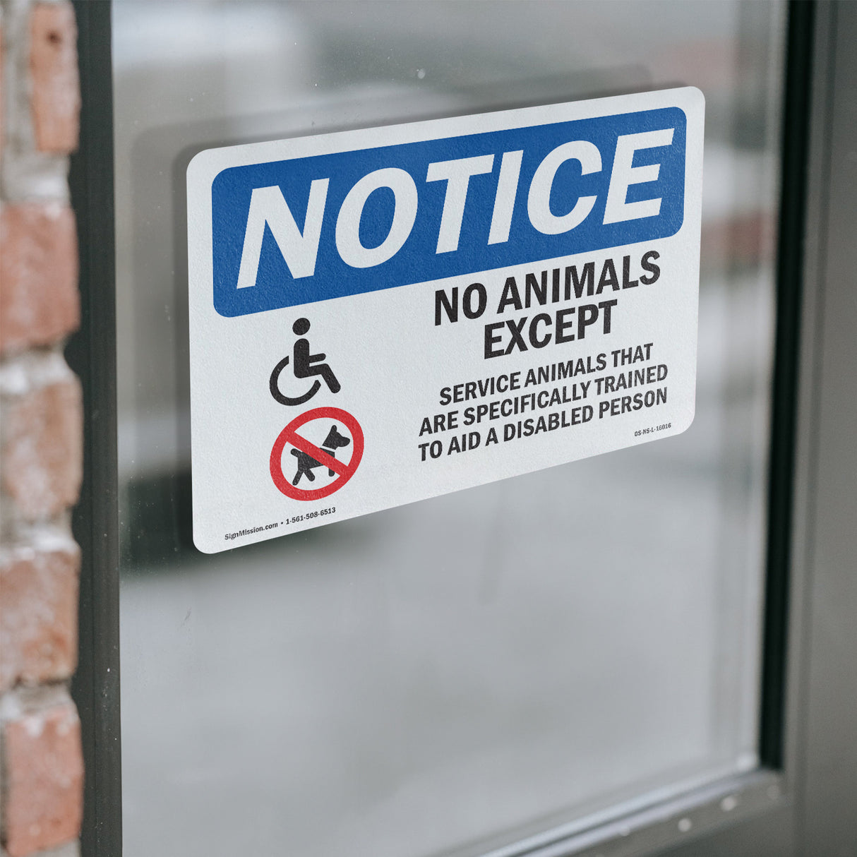 No Animals Except