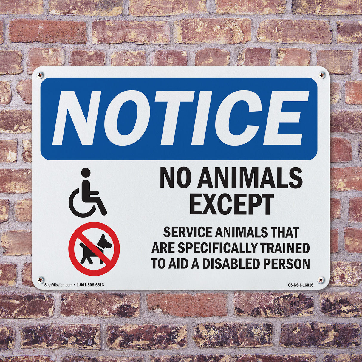 No Animals Except